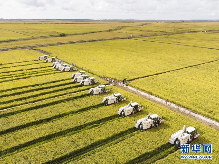 (新华全媒头条·图文互动)(15)奋斗结硕果,再写新篇章——写在共和国71周年华诞之际 (新华全媒头条·图文互动)(15)奋斗结硕果,再写新篇章——写在共和国71周年华诞之际